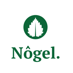 Nõgel